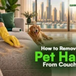 How to Remove Pet Hair From Couch: 10 Easy Ways for Dubai Homes